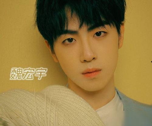 王梓豪前女友爆料视频,揭秘背后惊人真相  第3张