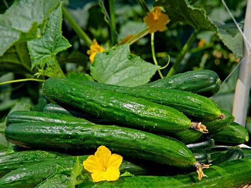 南京大瓜爆料视频最新,视频揭秘惊人内幕  第2张